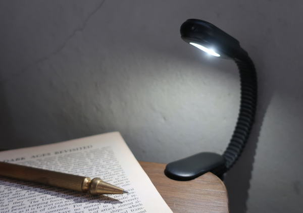 雑貨 ライト クリップライト