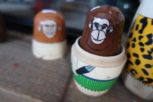 ディスプレイしたい人間の進化