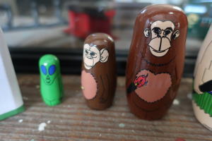 ディスプレイしたい人間の進化