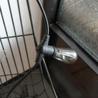 おしゃれガーデニングやキャンプで使いたいライト