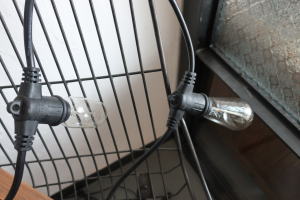 ショップで見かけるコンセント照明