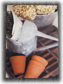 �|�X�g�J�[�h �I���W�i��