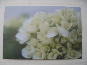 �|�X�g�J�[�h �I���W�i��