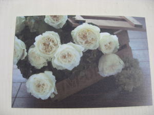 �|�X�g�J�[�h �I���W�i��