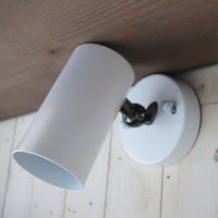 限定販売のスポットライト