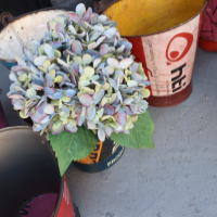 リサイクルバケツで寄せ植え