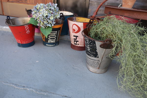 寄せ植えにかわいいジャンクバケツの販売