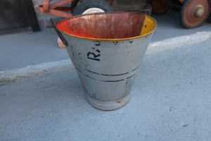 お気に入りの植物