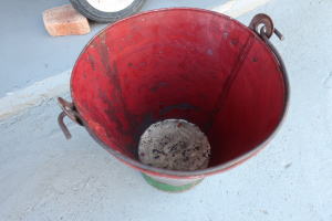 ショップにグリーンを飾る