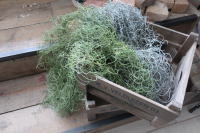 撮影に使いたいアートフラワー