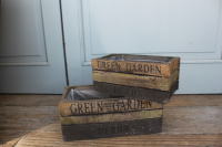 ナチュラルガーデニング 寄せ植えポット