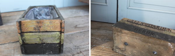 ジャンクポット ナチュラルガーデン