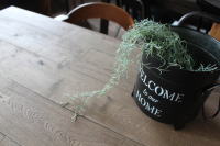 アイアンバケツ ガーデニング