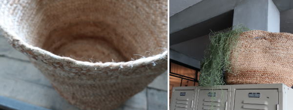 グリーン バスケット