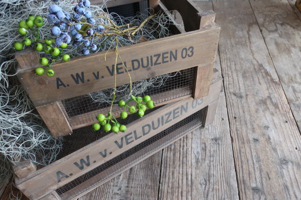 おしゃれなメッシュボックスの販売