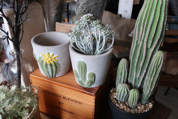 ポット ガーデニング ガーデンポット