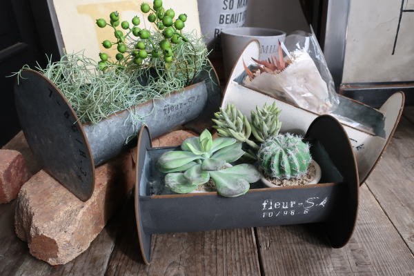 多肉 ガーデンポット ブリキ