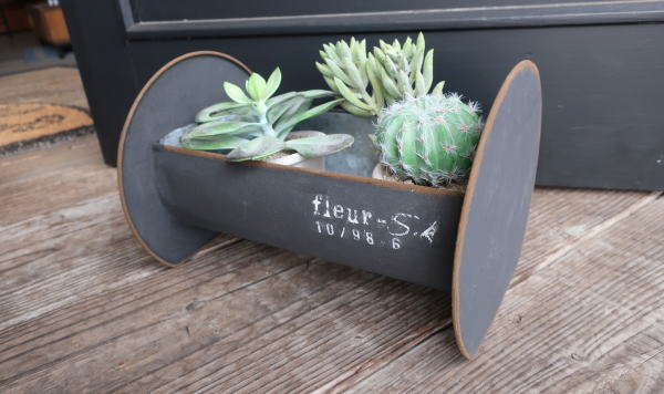 多肉 ガーデンポット ブリキ