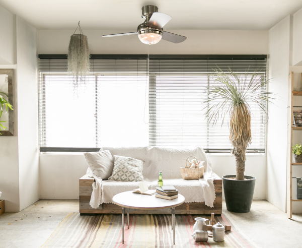 照明 シーリングファン　ライト