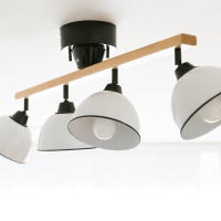 照明 インダストリアル スチール