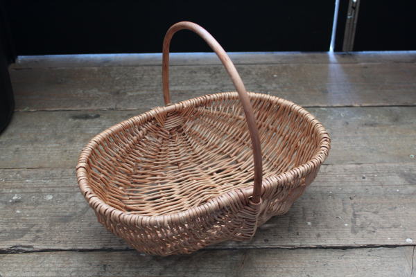 バスケット ディスプレイ