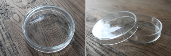 レトロ シャーレ アンティーク