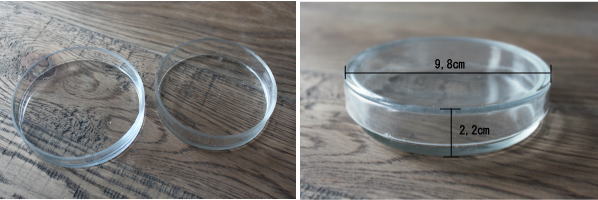 レトロ シャーレ アンティーク