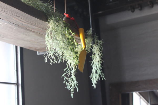 �X�R�b�v �B�e �K�[�f�j���O