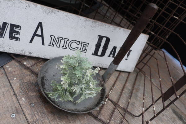 ジャンクガーデニングに取り入れたい　レトロキッチンツールの販売