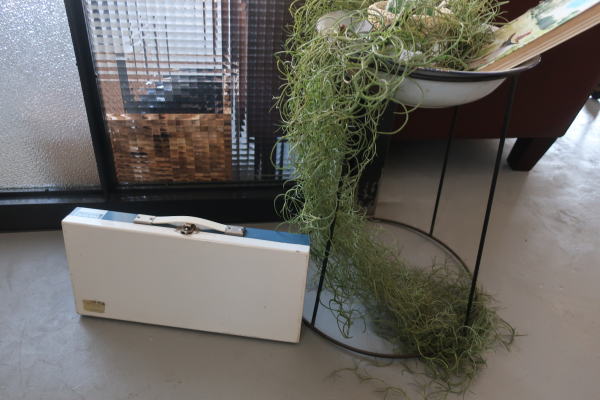 撮影にも絵になるスチールケース