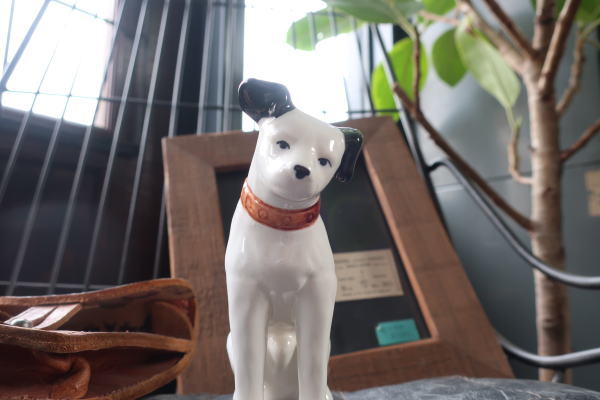 店舗ディスプレイに映えるレトロ雑貨 ビクター犬