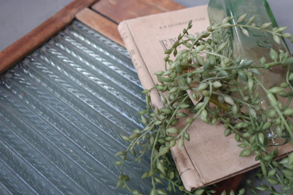 ガラスの洗濯板が珍しい