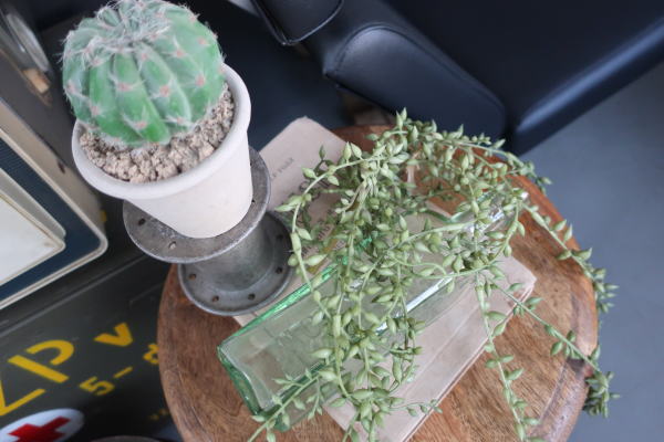 グリーンと合わせたいレトロインテリア