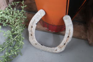 レトロインテリアやカフェ空間にぴったりな幸運の象徴