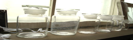 ��p�K���X �r ���g��