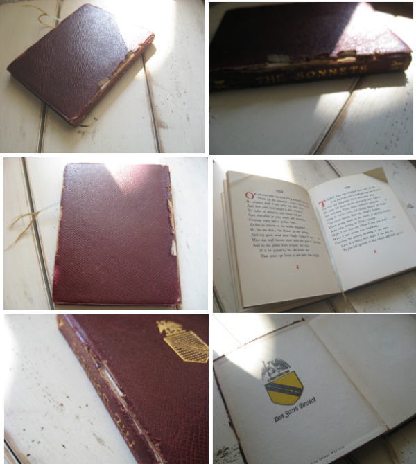 撮影に使いたい絵になる本