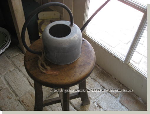 ジョーロ ガーデニング