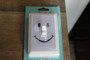 �X�}�C���X�C�b�` ���킢���Ɩ�