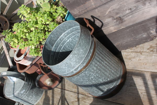 バケツ 傘立て 寄せ植え