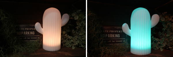 太陽光を利用するソーラー充電式の　サボテン型ライト　外部利用可能