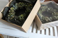 紫陽花 プレゼント