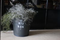 ブリキバケツ デンマーク ガーデニング