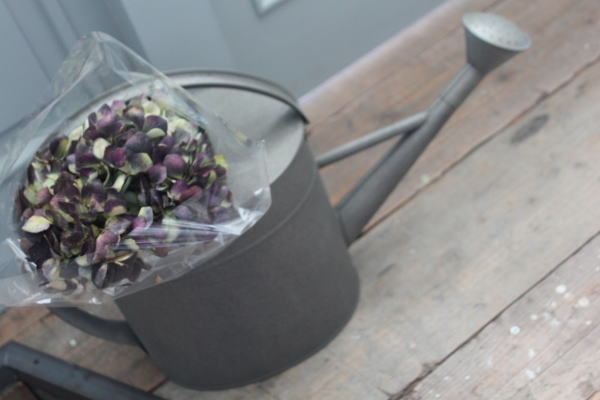 ガーデニング ナチュラル雑貨 ジョーロ