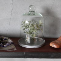 ドーム型 フラワーベース ガラス