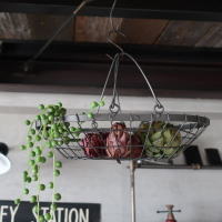 ワイヤーケース