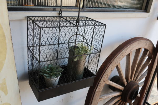 アイアン ゲージ プランター